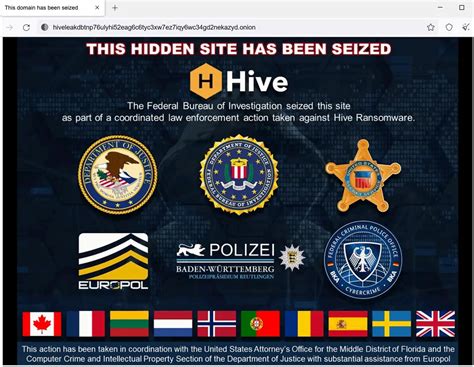 hive leaks|US announces it seized Hive ransomware gang’s leak。